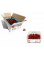 Cerises bigarreau rouge confites 22/24