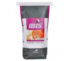 Ibis viennoiserie