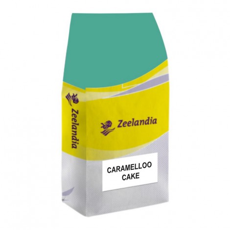 Zeel Caramello cake