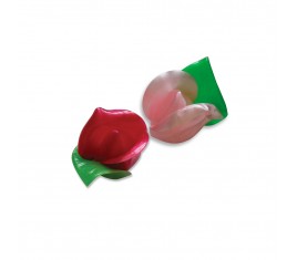 Roses Boutons