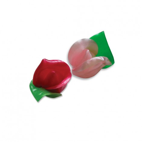 Roses Boutons