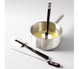 Spatule thermomètre Elvéo