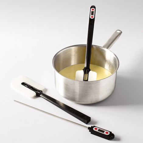 Spatule thermomètre Elvéo