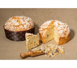 Concentré Panettone