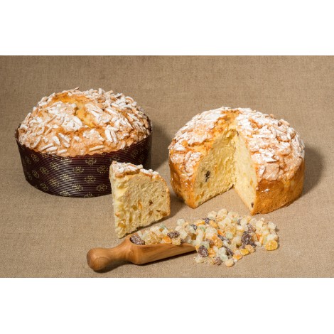 Concentré Panettone