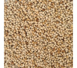 Quinoa Extrude Caramelisé