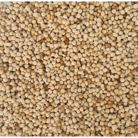Quinoa Extrude Caramelisé