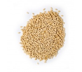 Cracriz