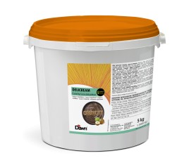 Delicream Crunchy Cacao Noisette